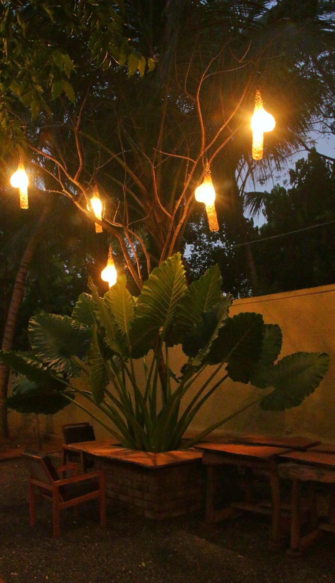 The Elephant Next-Door Udawalawe Ngoại thất bức ảnh