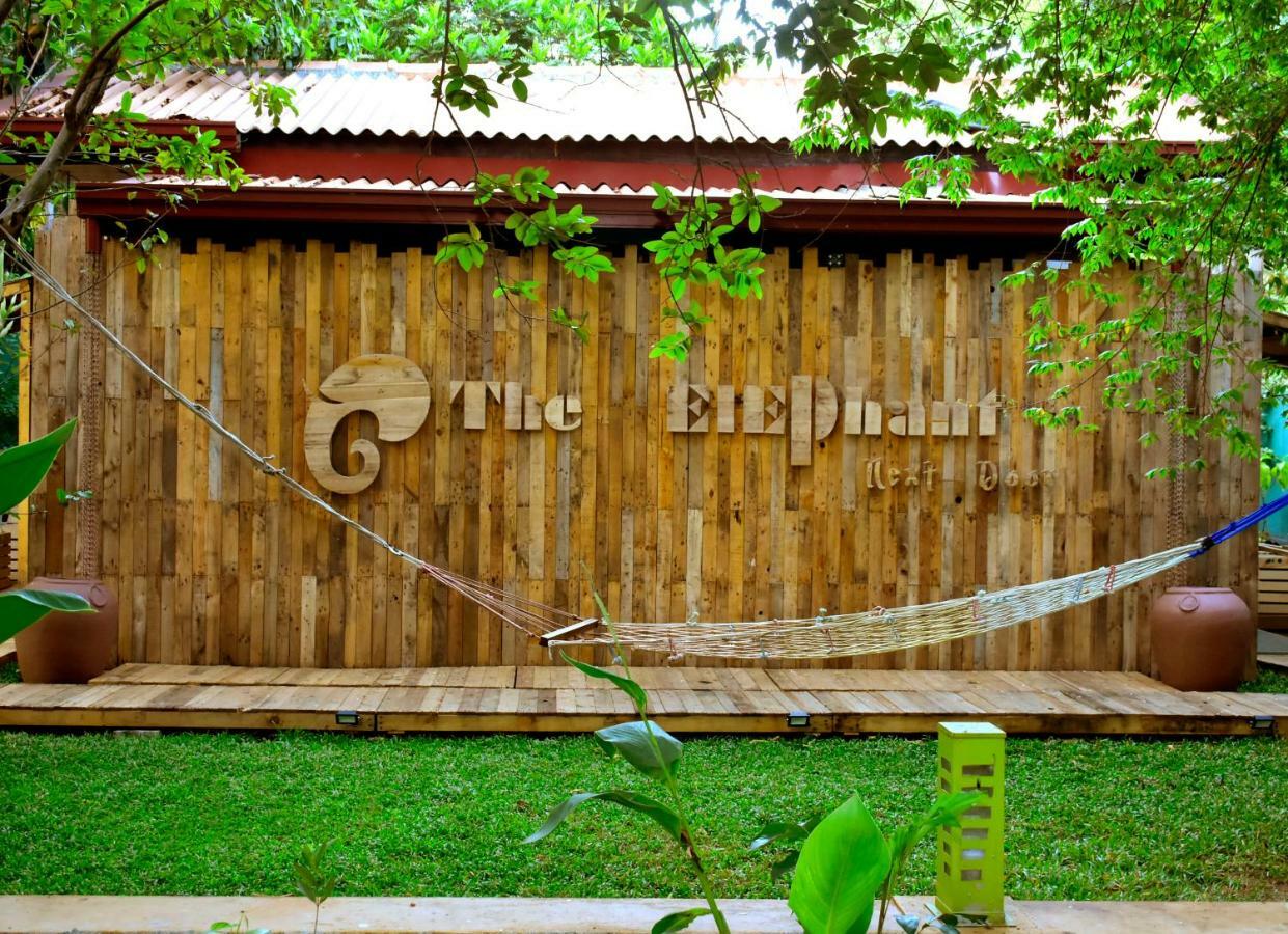 The Elephant Next-Door Udawalawe Ngoại thất bức ảnh