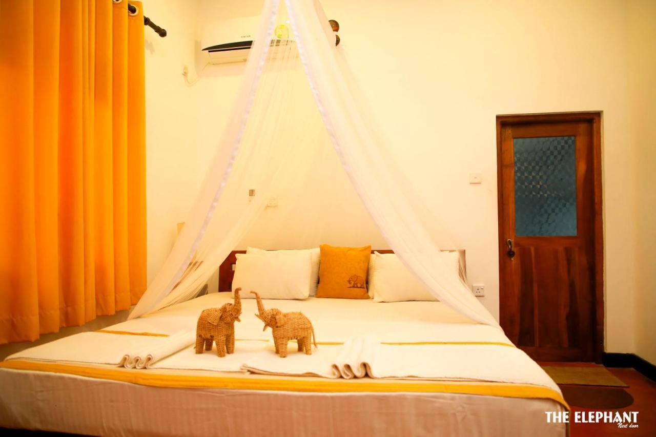 The Elephant Next-Door Udawalawe Ngoại thất bức ảnh