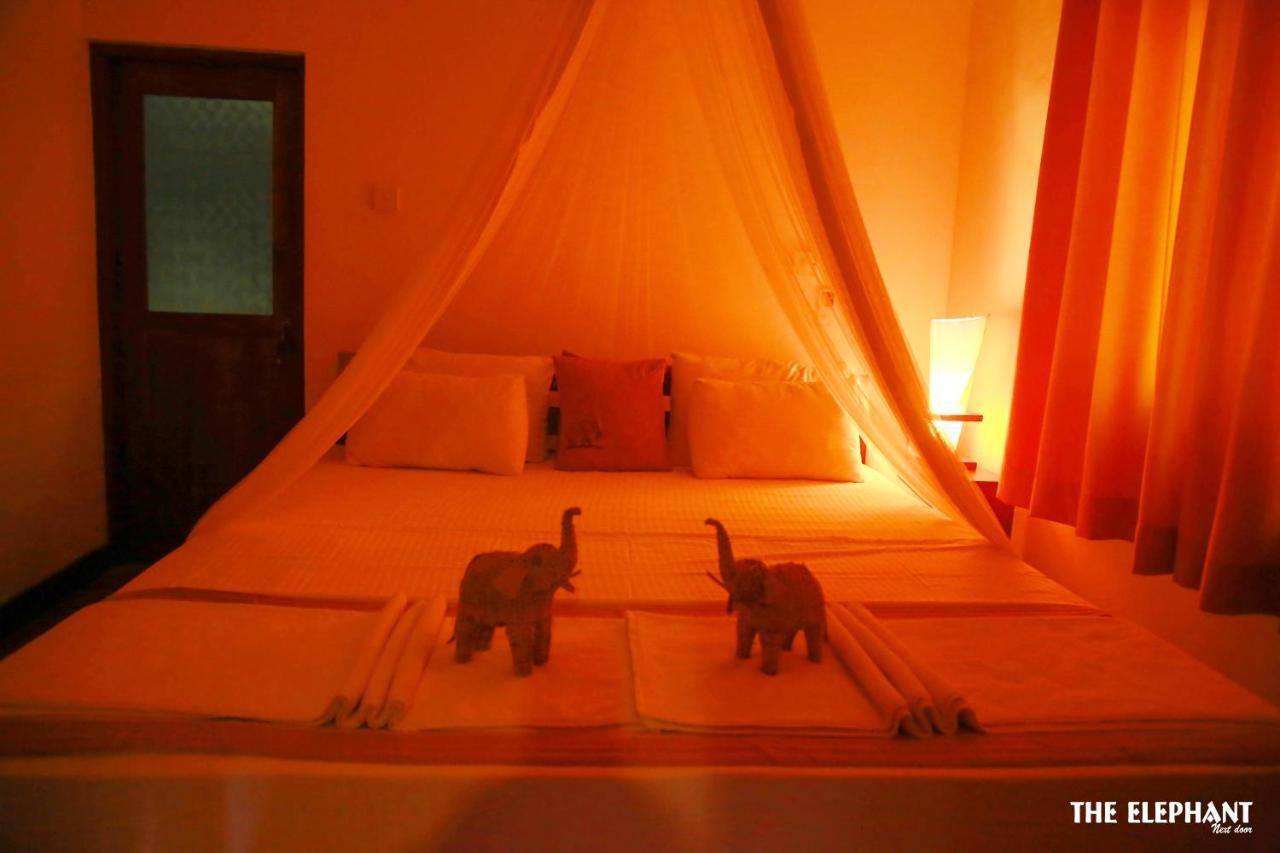 The Elephant Next-Door Udawalawe Ngoại thất bức ảnh